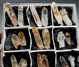 Ancient Petroleum “Firefly” Scepter Quartz – 18 Piece Lot