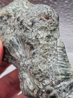 217g Polished Seraphinite – Irkutsk, Russia