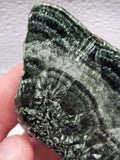 99g Polished Seraphinite – Irkutsk, Russia