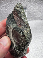 99g Polished Seraphinite – Irkutsk, Russia