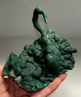 Absolutely Stunning Scorpion Shape Green Malachite Specimen 🦂