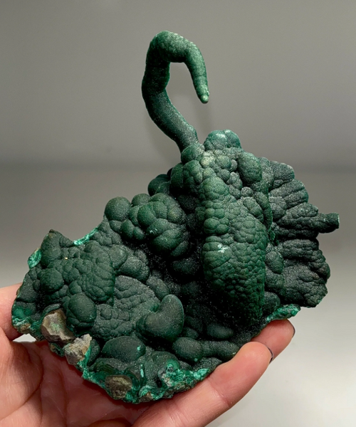 Absolutely Stunning Scorpion Shape Green Malachite Specimen 🦂