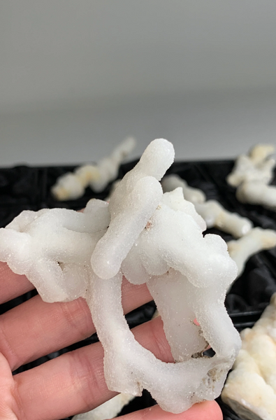 Druzy White Coral Chalcedony Stalactites – 12 Piece Lot
