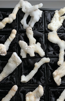 Druzy White Coral Chalcedony Stalactites – 12 Piece Lot