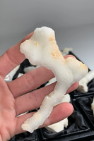 Druzy White Coral Chalcedony Stalactites – 12 Piece Lot