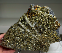 Incredible Pyrite with Quartz Flowers – Borieva Mine, Bulgaria