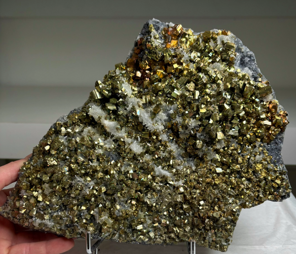 Incredible Pyrite with Quartz Flowers – Borieva Mine, Bulgaria