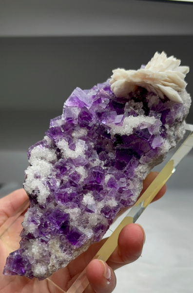 Purple Fluorite with Barite Flower and Druzy White Quartz – Berbes Mine, Spain