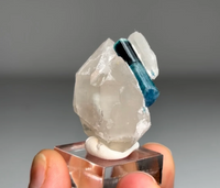 Blue Indicolite Tourmaline with Quartz