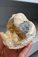 Super Cool Clam Fossil with Golden Calcite Crystals 🐚✨