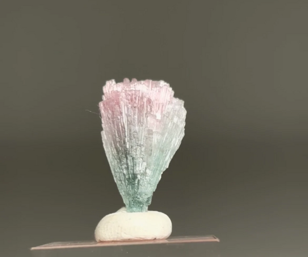 Pink & Blue Bicolor Tourmaline Spray