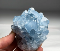 Sky Blue Celestite with Gemmy Crystals