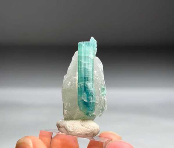 Blue-Green Tourmaline with Quartz