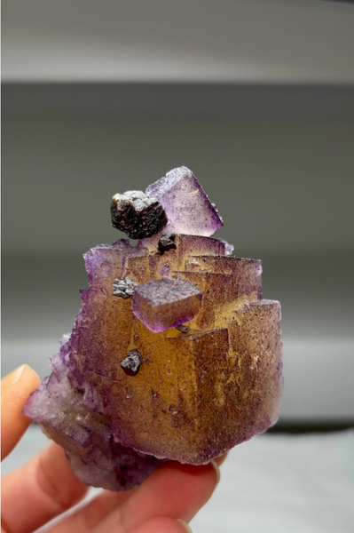 Yellow and Purple Fluorite with Sphalerite