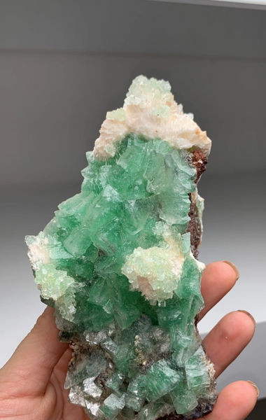 Very Aesthetic Green Apophyllite with Scolecite — Nashik, India