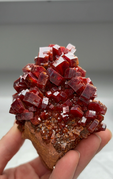 Absolutely Top-Class Red Vanadinite with Big, Lustrous Crystals — Mibladen, Morocco