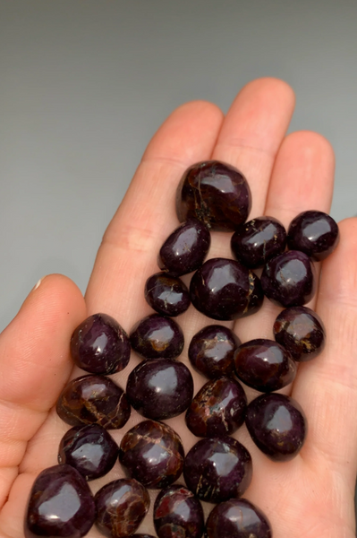 Star Garnet – 25 Piece Lot