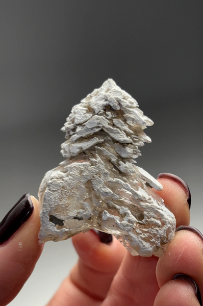 Unique Selenite Specimen – Snowy Tree Form