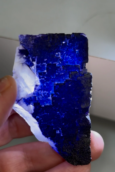 Beautiful “Blurple” Fluorite from Muzquiz, Mexico