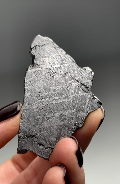 Muonionalusta Meteorite — Widmanstätten Pattern, Sweden