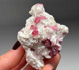 Rubellite Tourmaline with Albite