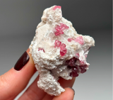 Rubellite Tourmaline with Albite