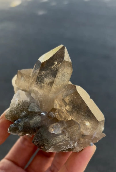 Glittery Smoky Quartz — Argentière Glacier, Chamonix, France