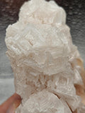 185g Pink Halite//Rock Salt//Sea Salt//All Natural Specimen