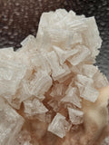 185g Pink Halite//Rock Salt//Sea Salt//All Natural Specimen