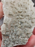 62g Sugar Apophyllite/Chalcedony/Sparkly Mineral/Crystal/India