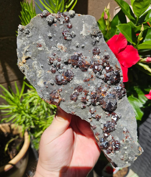 2025g Sphalerite/Garnet/Sparkly/All Natural Mineral/Fujian, China