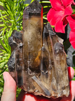 1156g Quartz//Cluster Clear Quartz//Inclusions//Keys//Brazil