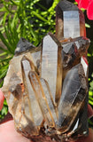 1156g Quartz//Cluster Clear Quartz//Inclusions//Keys//Brazil