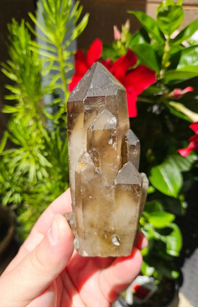 378g Quartz//Cluster Clear Quartz//Inclusions//Keys//Brazil