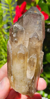 378g Quartz//Cluster Clear Quartz//Inclusions//Keys//Brazil