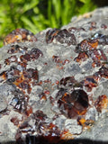 2025g Sphalerite/Garnet/Sparkly/All Natural Mineral/Fujian, China