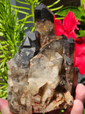 1156g Quartz//Cluster Clear Quartz//Inclusions//Keys//Brazil