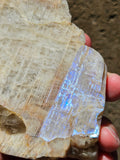 229g Belomorite//Sunstone// Moonstone// Russia//All Natural//Freeform Mineral//Crystals