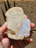 229g Belomorite//Sunstone// Moonstone// Russia//All Natural//Freeform Mineral//Crystals