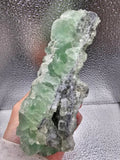 698g Green Sugar Fluorite//Sphalerite//Druse//Sparkly Minerals//All Natural//Crystals/Fujian, China